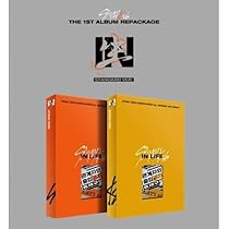 stray kids IN生 直筆サイン入りアルバム ハンジソン stray kids IN生 直筆サイン入りアルバム ハンジソン